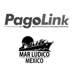 SERVICIO DE LINK