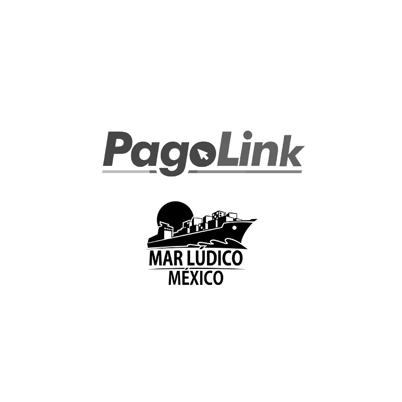 SERVICIO DE LINK