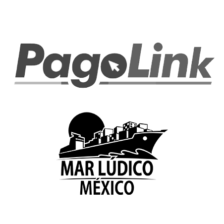 SERVICIO DE LINK